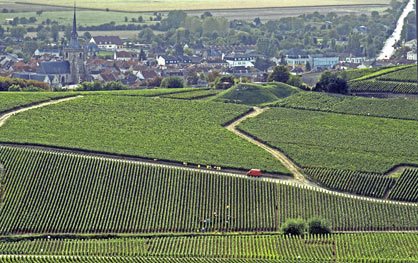 Champagne René ROGER - Ay, France.